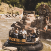Efteling: Entry Ticket